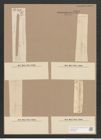 Synedra acus Kuetz. (de-Toni-Nr.: Genus 66, Species 2590) Zeichnungen Sammlung Grunow Nr. 5260 (NHMW-BOT-W0373639)